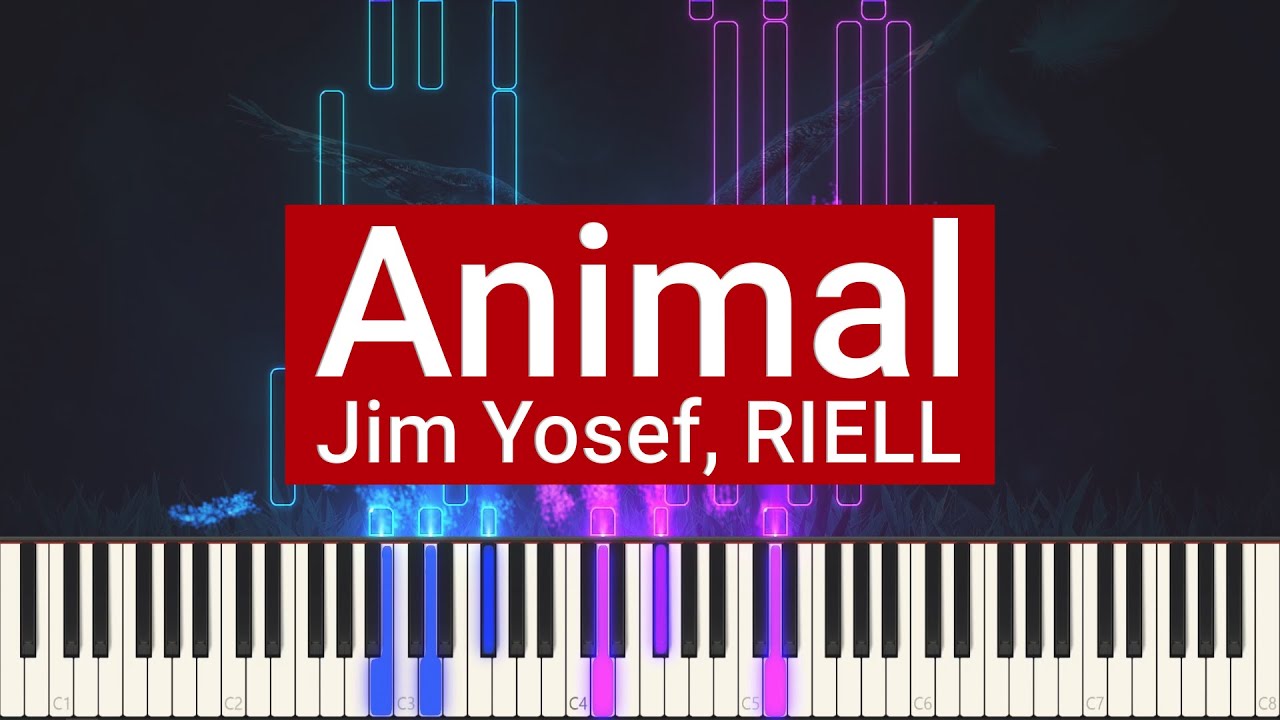 Jim Yosef, RIELL - Animal | Piano Tutorial EDM