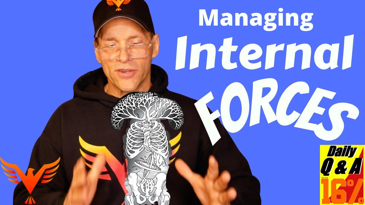 Foundational Principles of My Model - Structure and Forces - BillHartmanPT.com Q&A for The 16%