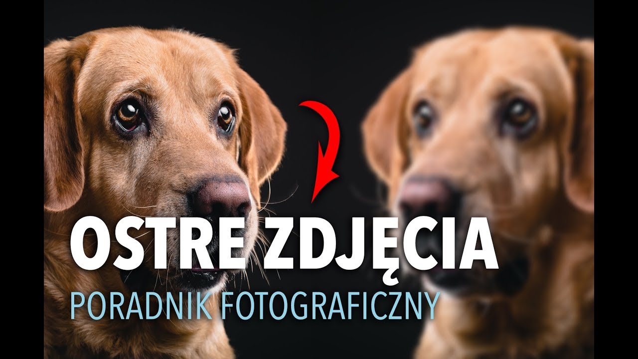 Jak ROBIĆ OSTRE ZDJĘCIA?