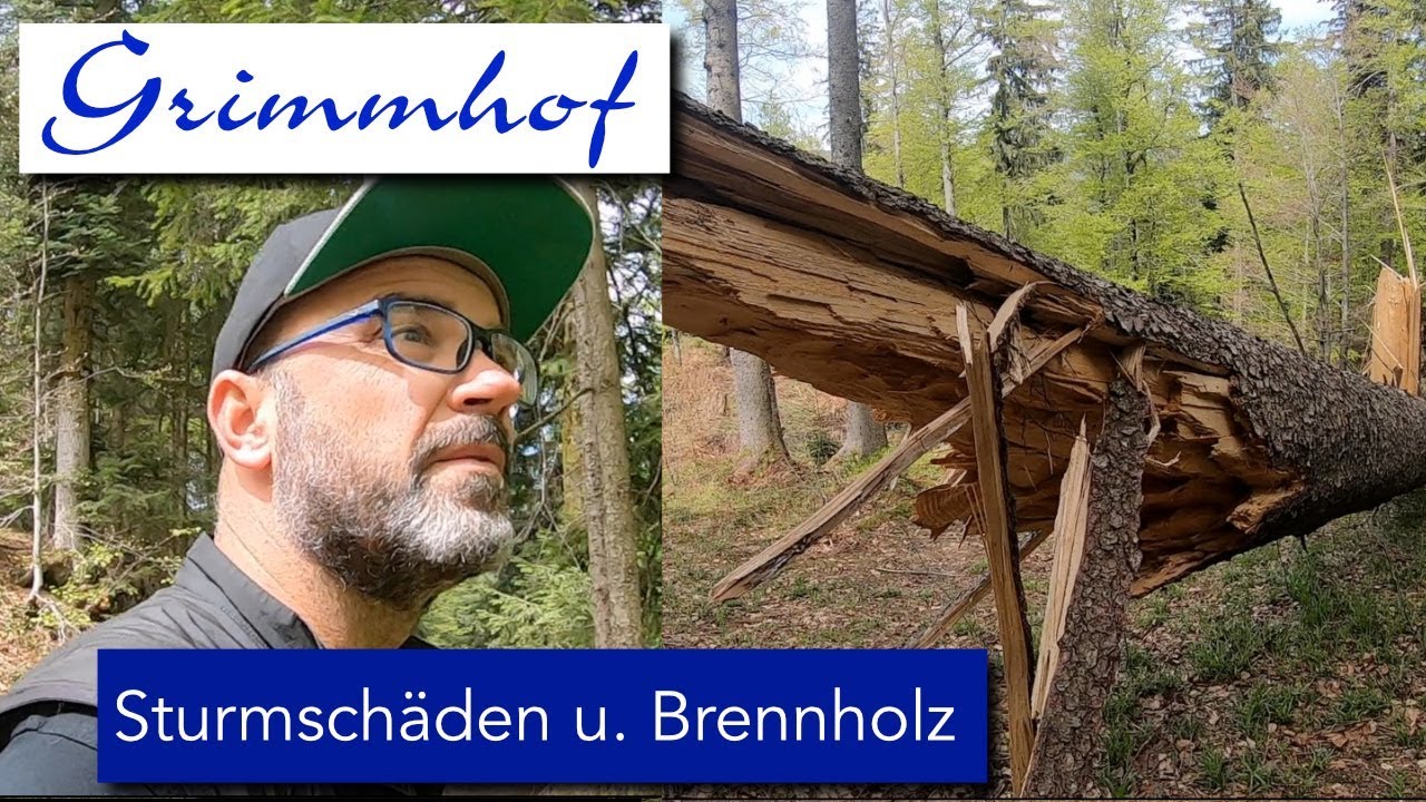 FarmVLOG#10-Sturmschäden im Wald und Holz vor der Hütte