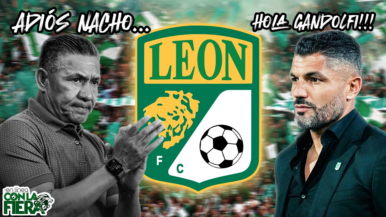 En Línea con La Fiera 🦁