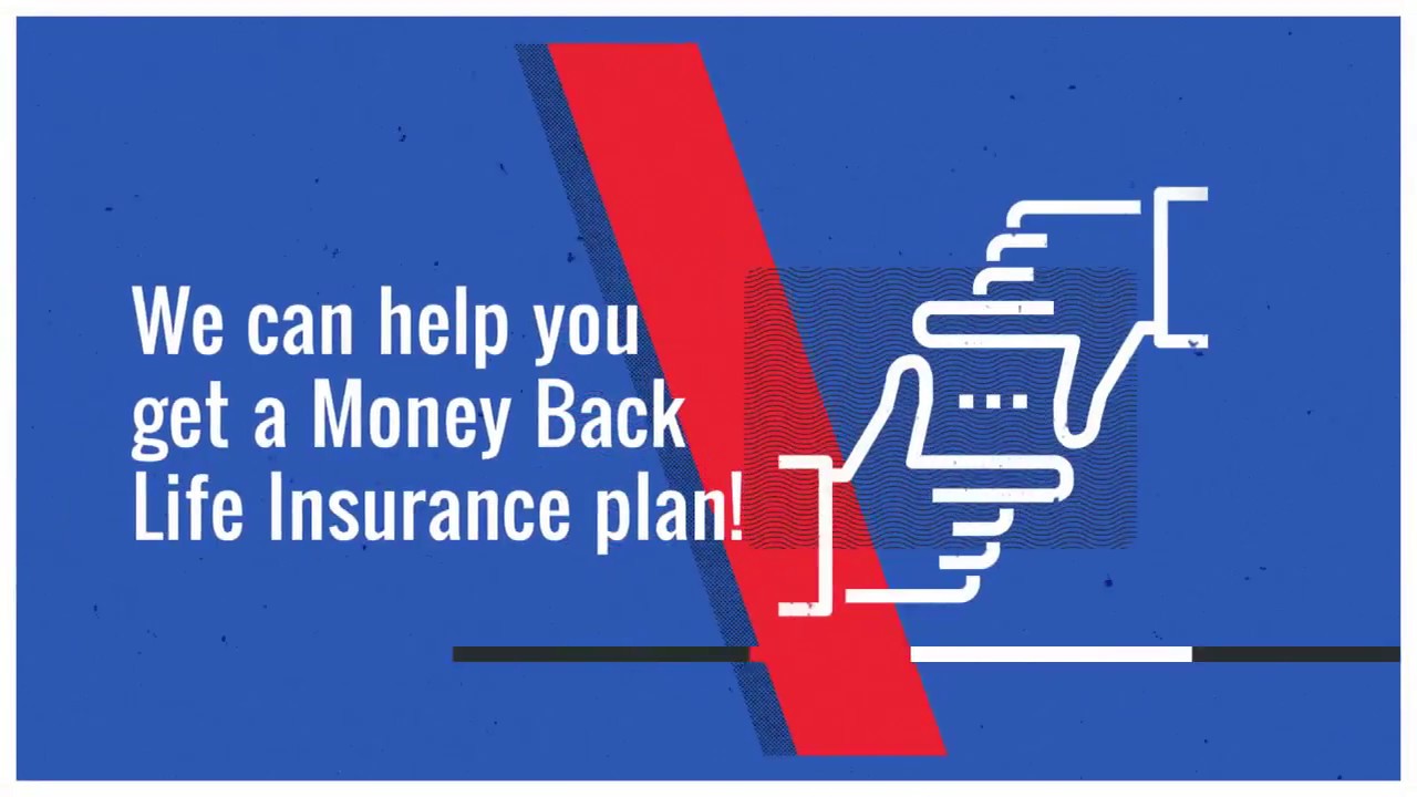 Money back insurance-  harpreet puri turning it easier for you.