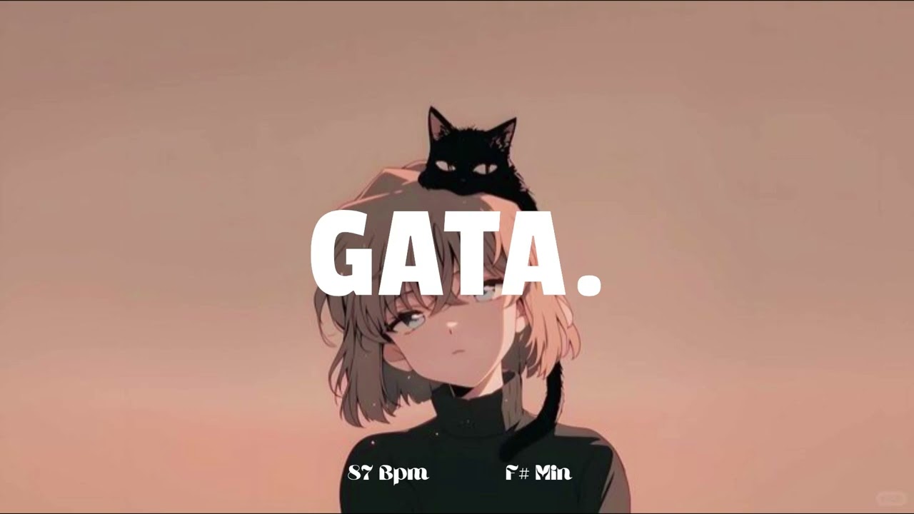 ☄️Reggaeton Emocional - GATA | Instrumental de Reggaeton🔖