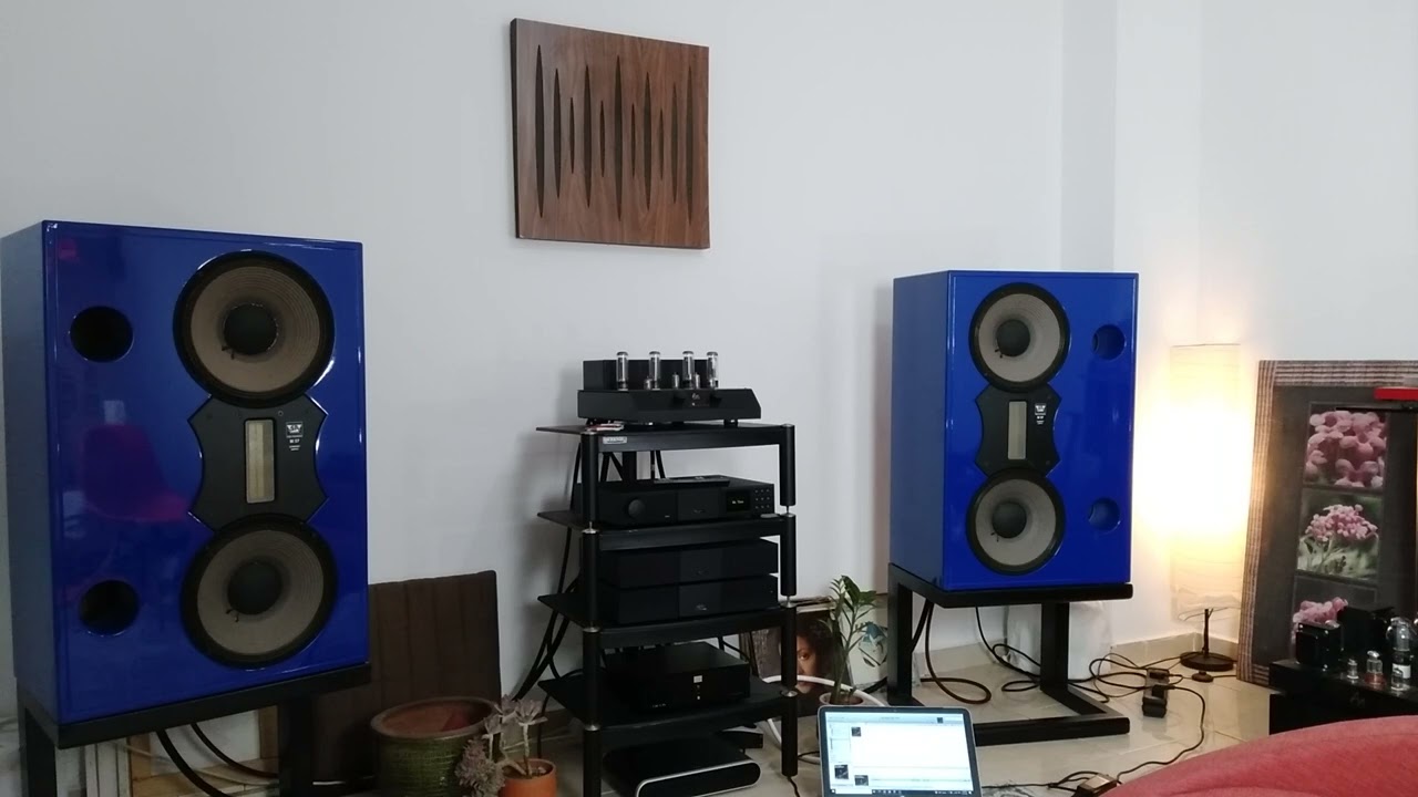 Stage Accompany M57 speakers, Audio Note Cobra amplifier, High end audio setup