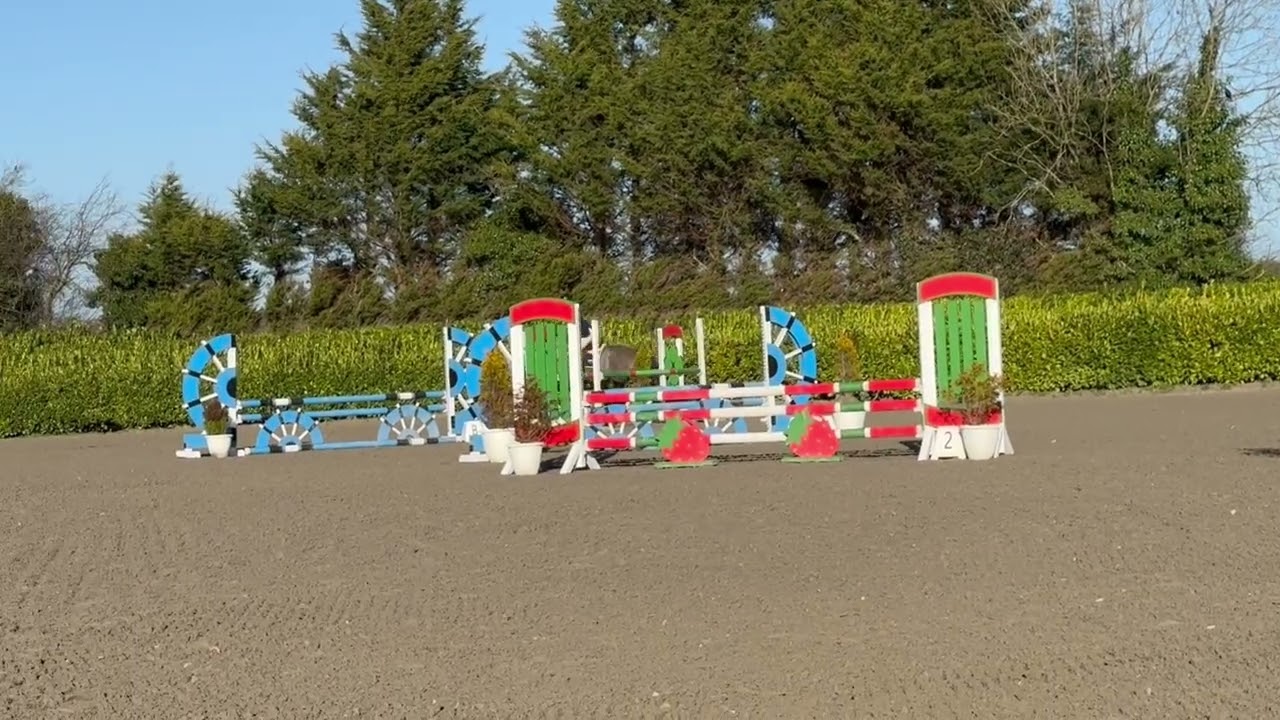 Hollypark Guga Jumping Milchem