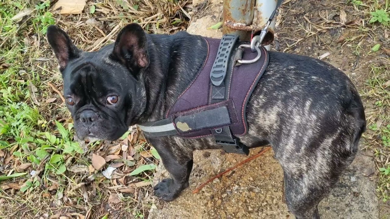 Today, Saturday, February 7th, here in the Mediterranean, strong winds and gale-force gusts, 