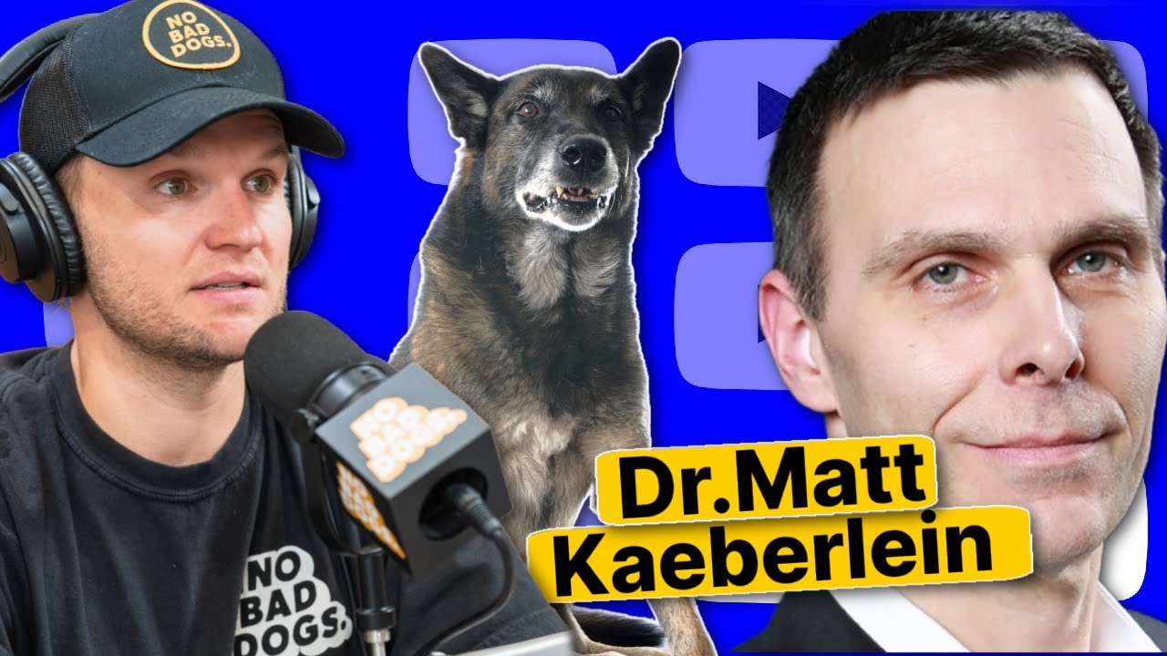 The Science of Dog Longevity: How to Help Your Dog Live Longer & Healthier (w/ Dr. Matt Kaeberlein)