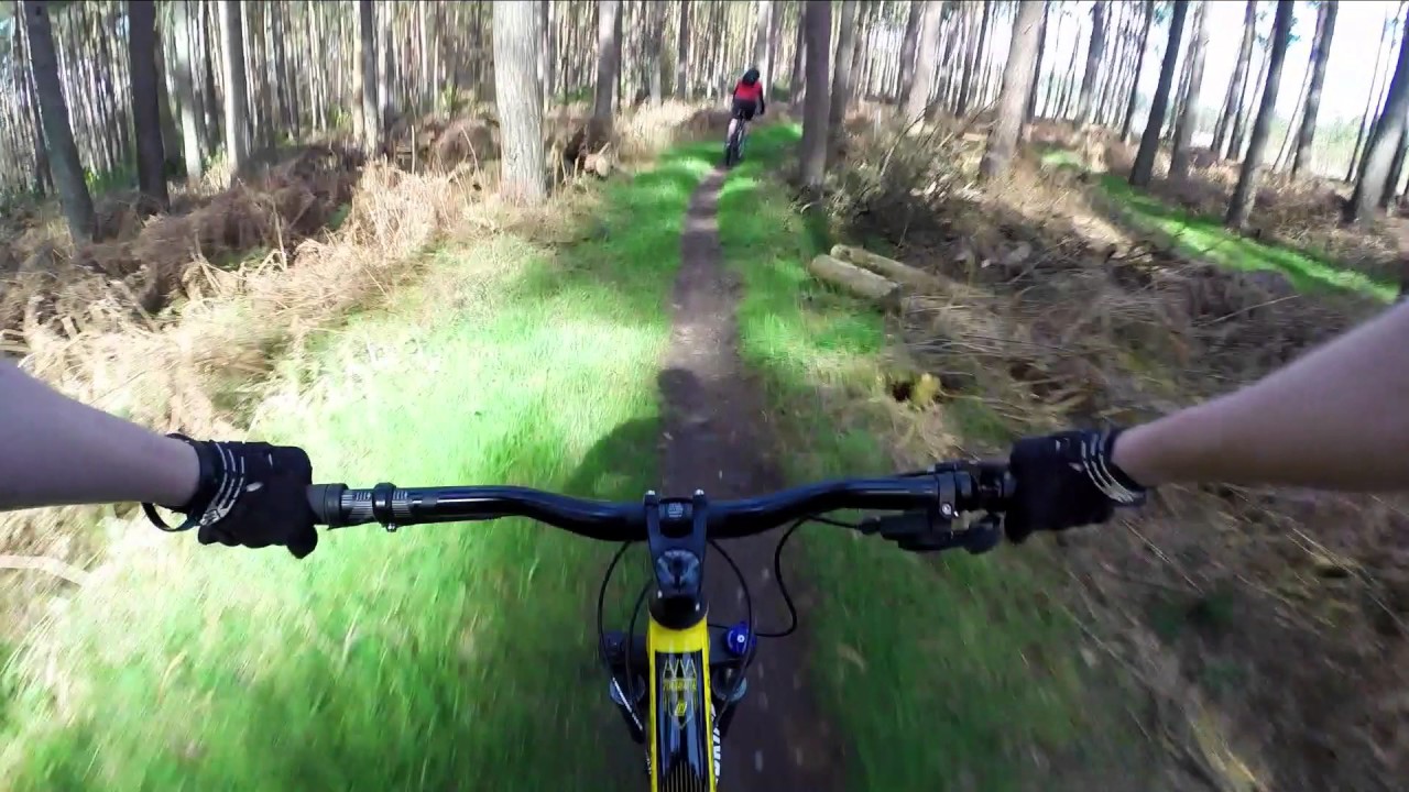 Thetford Forest Lime Burner Trail MTB