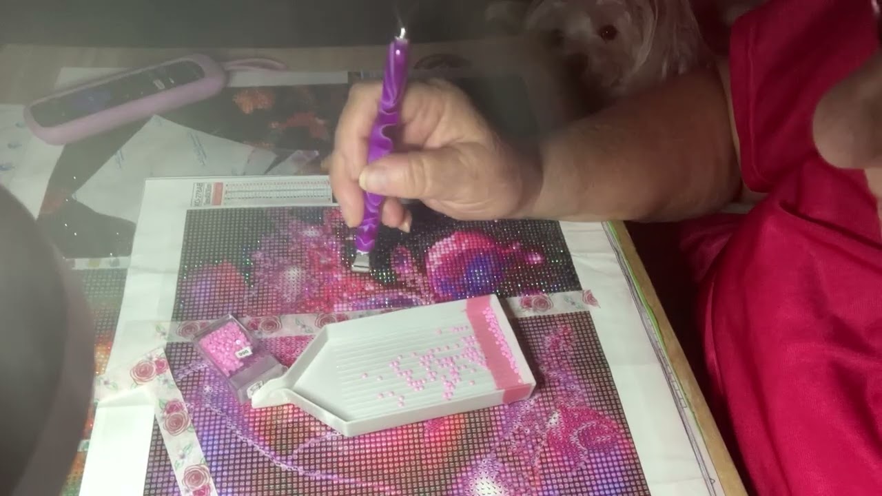 Wipnchat  working on a beautiful pink rose diamond painting,thank you Johnna 