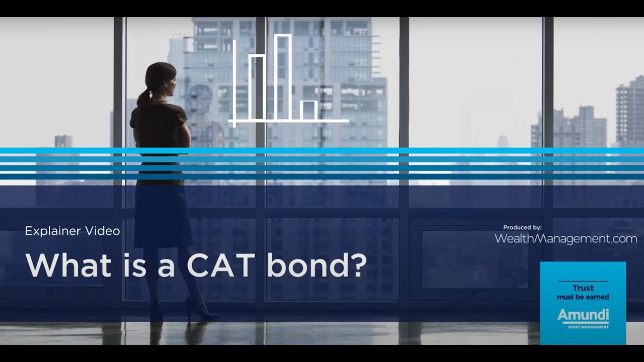 What is a CAT Bond?