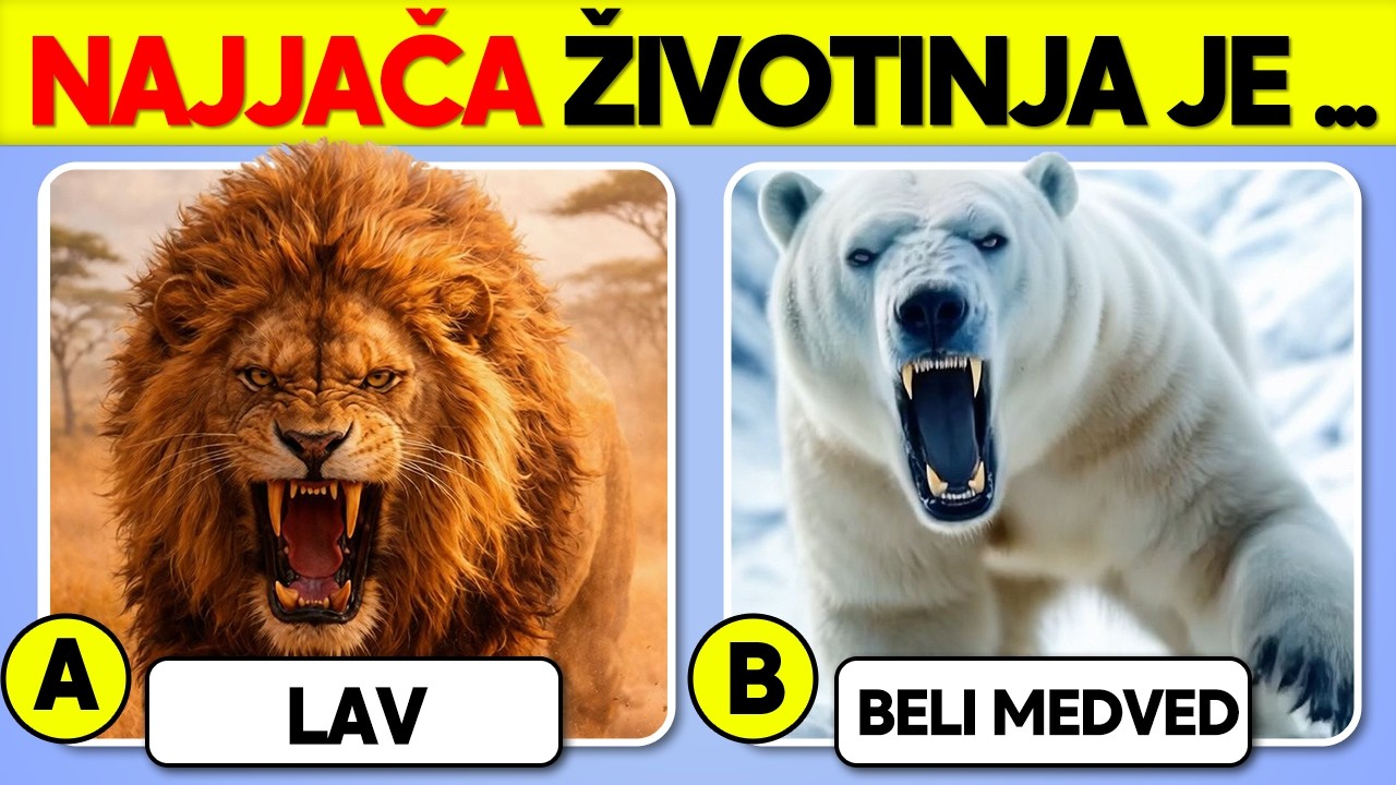 Ko je najjači — Lav , Orka ili Slon ? 🦁 vs 🐋vs 🐘