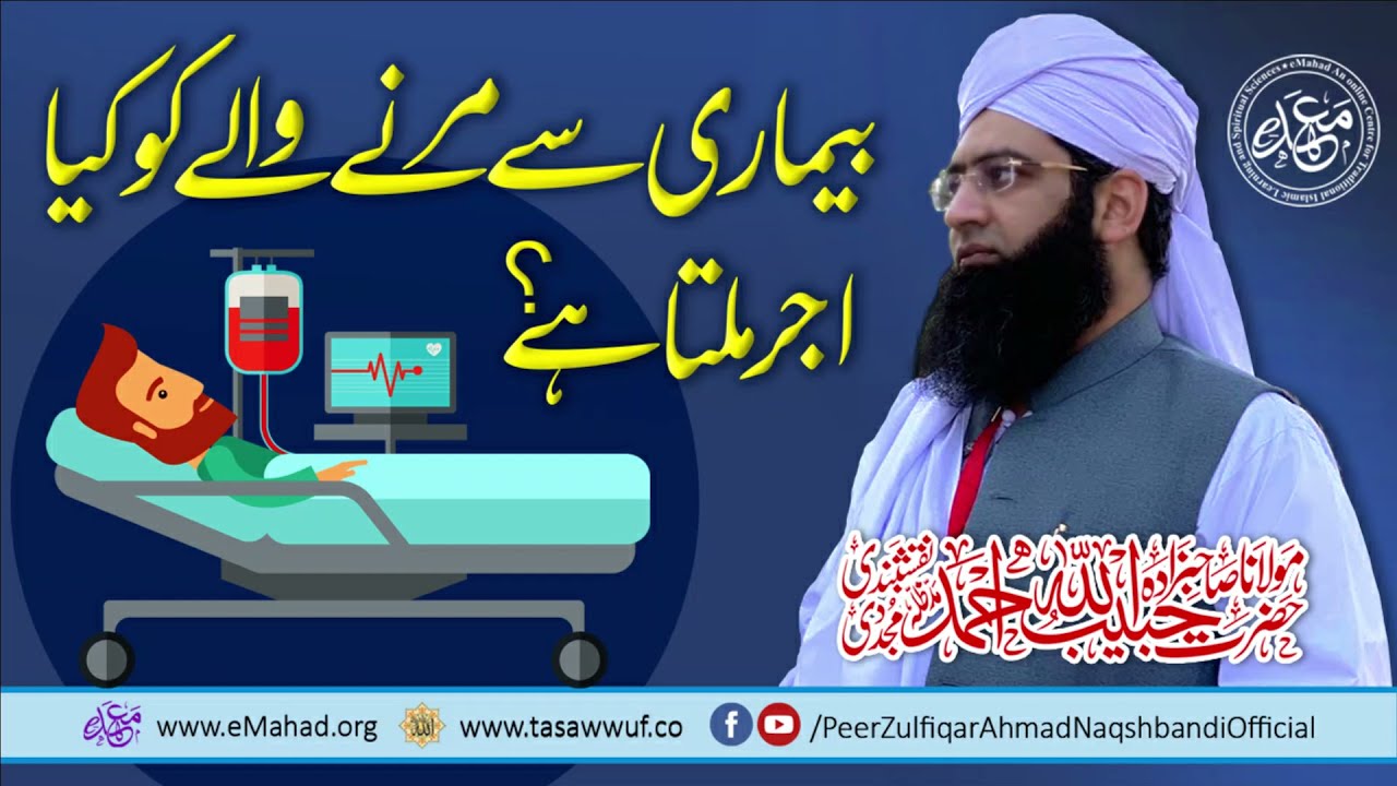 Bemaari Say Marnay Walay Ko Kia Azar Milta Hai - بیماری سے مرنے والے کو کیا اجر ملتا ہے