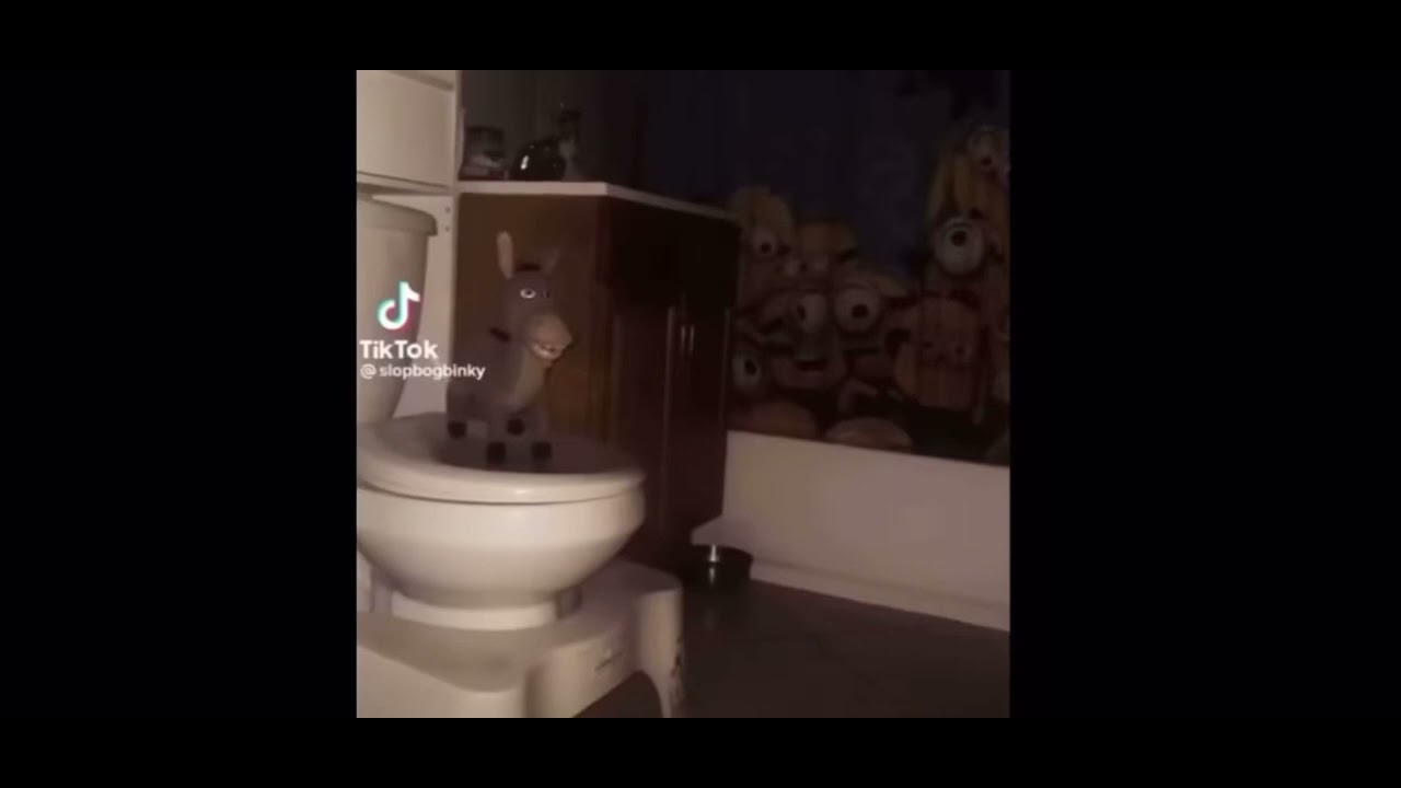 Donkey spinning Meme