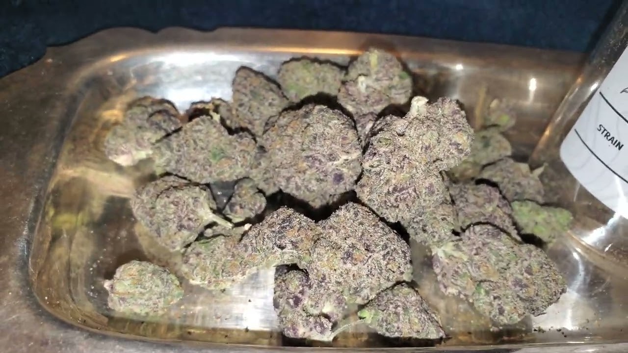 hmp.store purple lemonade thca hemp⛽🔥