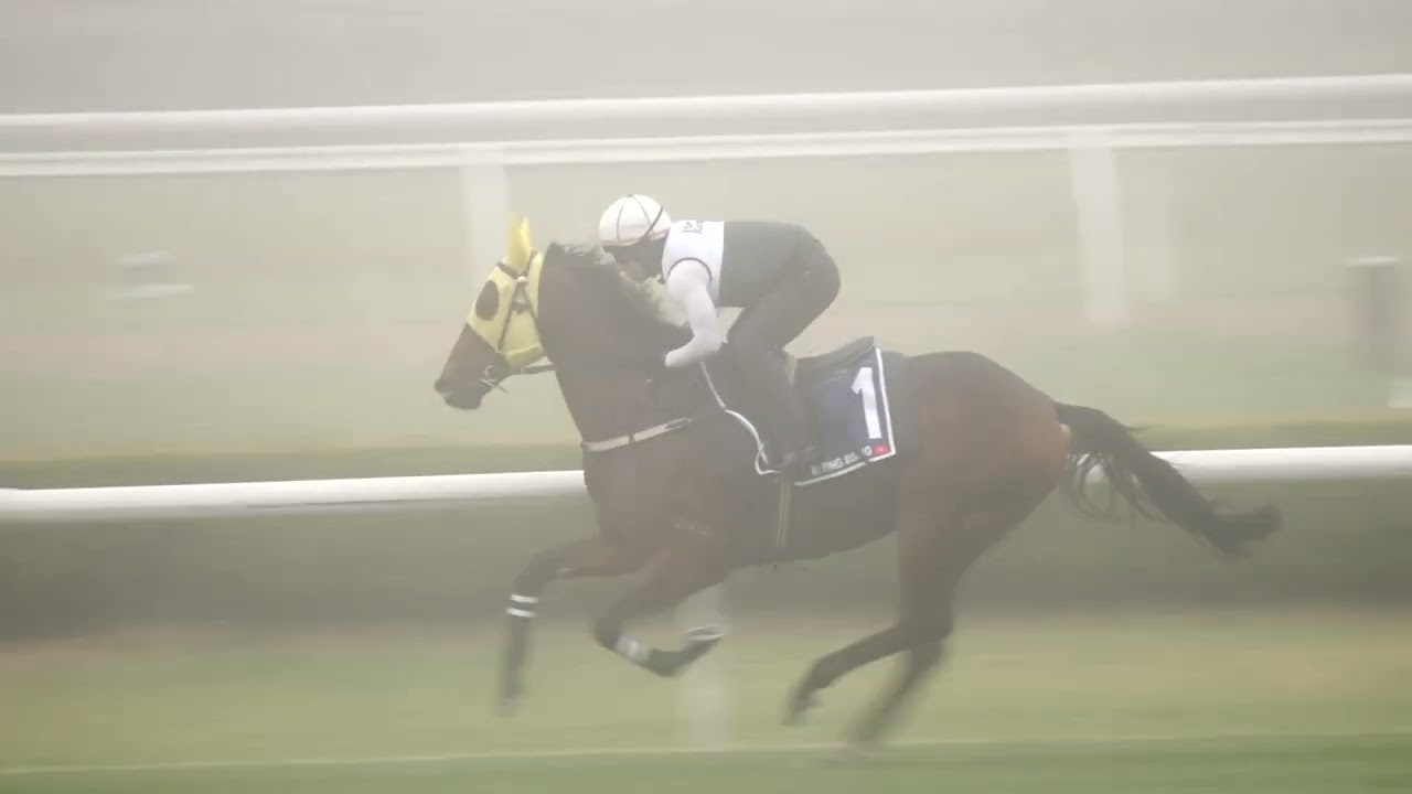 【2025 珠穆朗瑪峰錦標 The Everest】「嘉應高昇」晨操片段（10月16日）/ Ka Ying Rising Morning Trackwork (16 Oct)