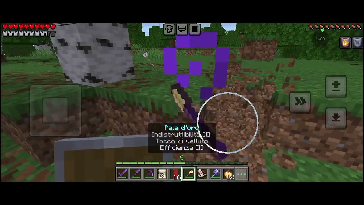 Benvenuti nel mio mondo di Minecraft 