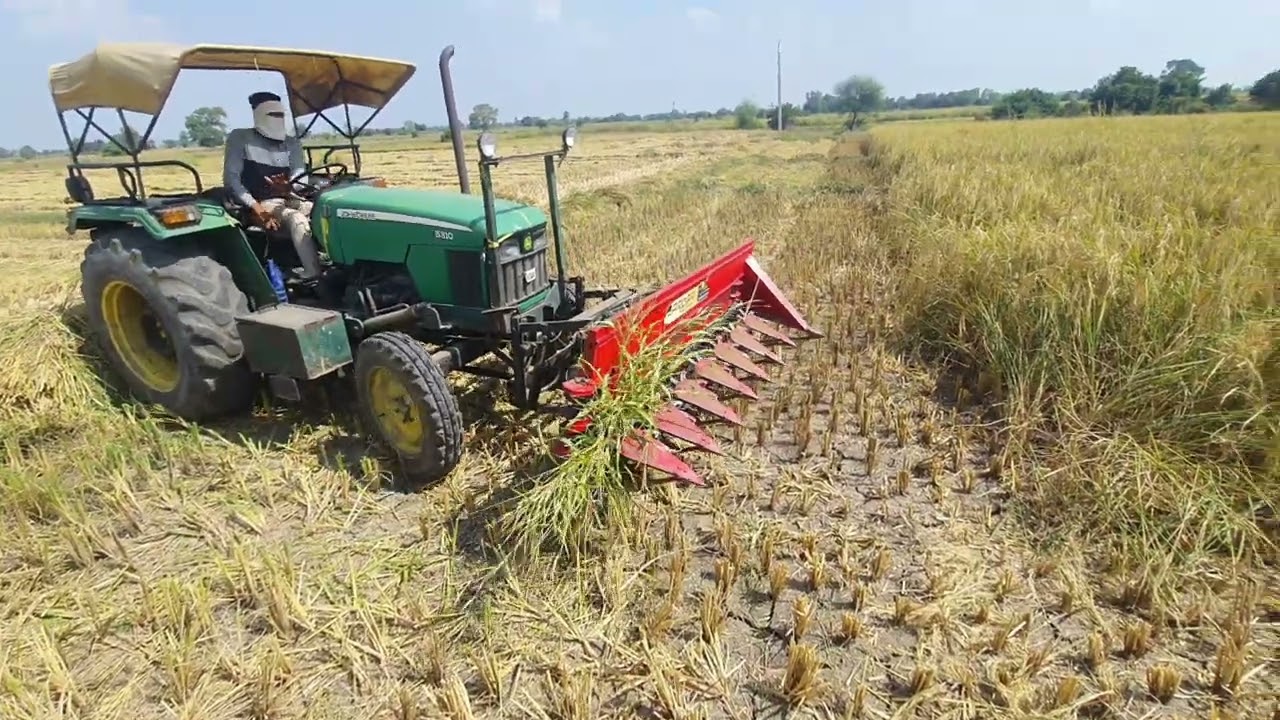 John deere 5310 | 🚜ट्रैक्टर वाले रीपर से धान की कटाई 🌾