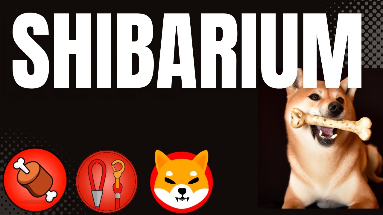 SHIBARIUM NEWS: GOVERNMENT OFFICIAL FILLS OUT INTAKE FORM FOR SHIBARIUM