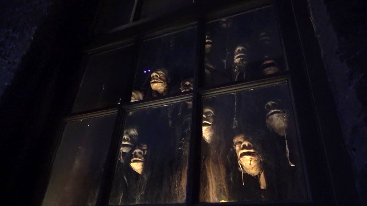 Knockturn Alley shrunken heads