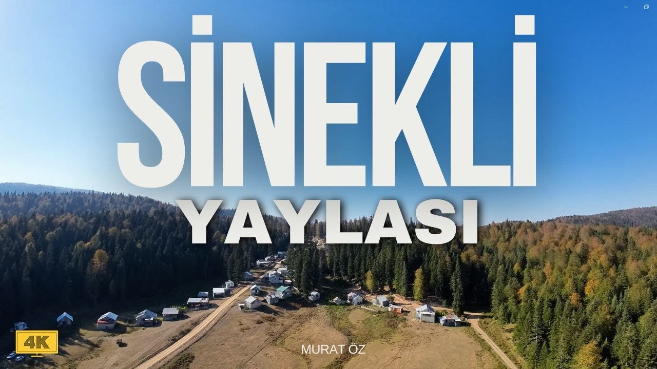 SİNEKLİ YAYLASI | DÜZCE-BOLU