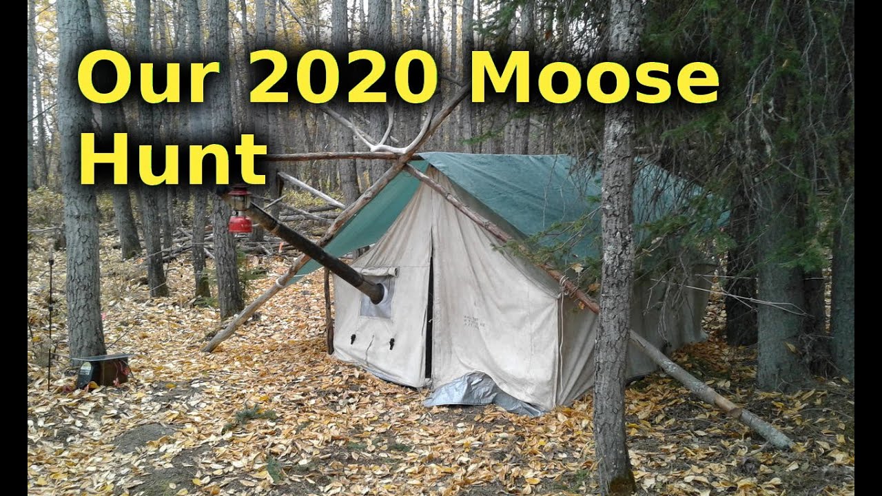 Alaska Moose Hunt For Our Yearly Meat Supply