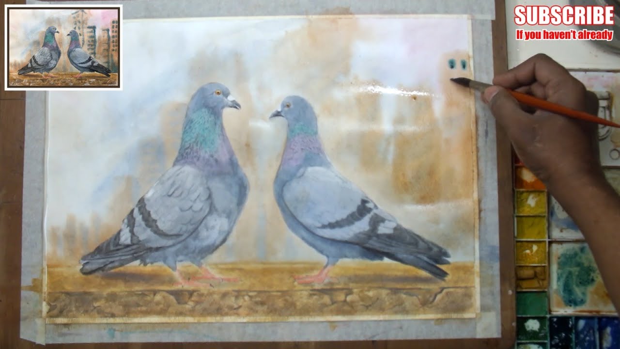 Season of beautiful Pigeons love watercolor painting How to paint bird in watercolor Art by Farrukh