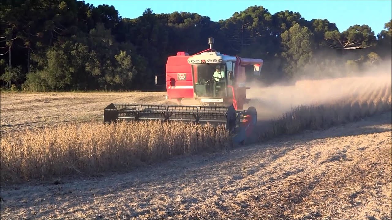 MF 5650 Hydro Colheita de Soja 2013