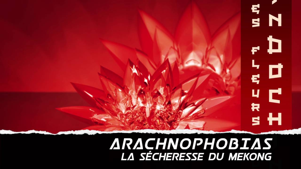 Arachnophobias - La Secheresse Du Mekong (Indochine Cover)
