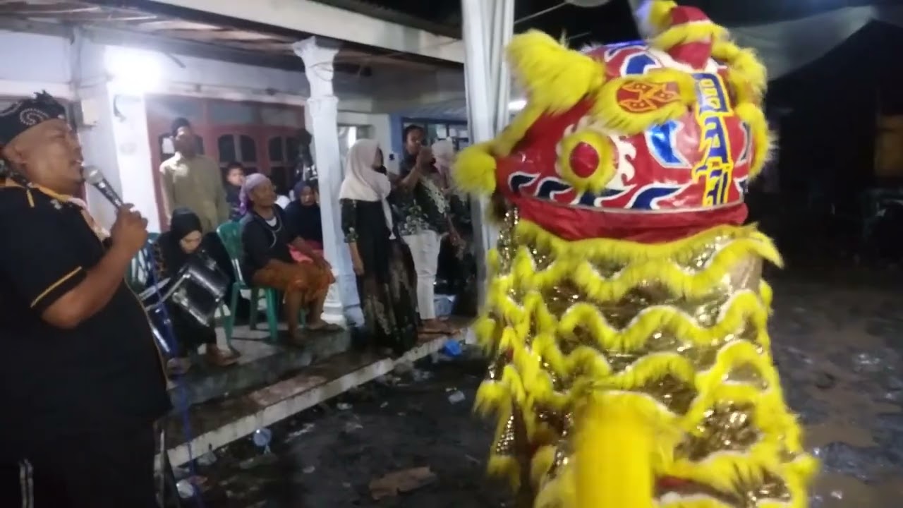 D.A.I Atraksi Dua Unit Barongsai Tampil di Mentor kab probolinggo. di rumah bpak Winda/soleha