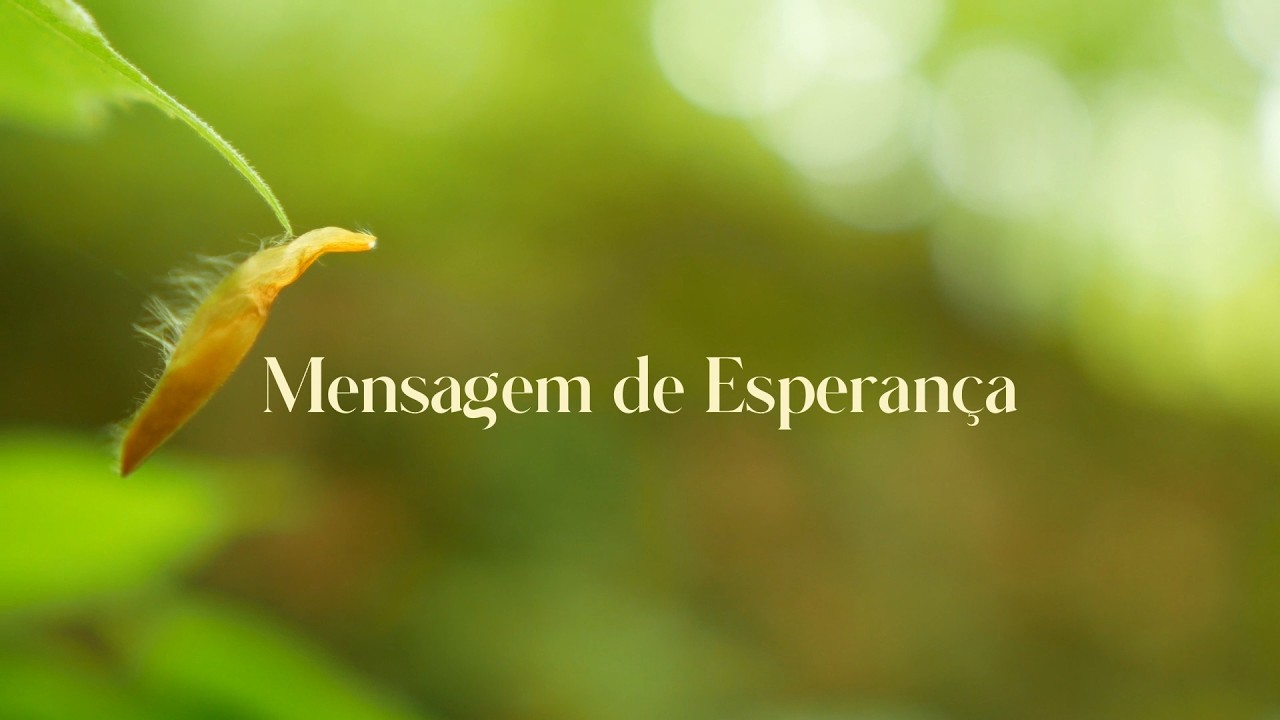 MENSAGEM DE ESPERANÇA - 27.02.2026