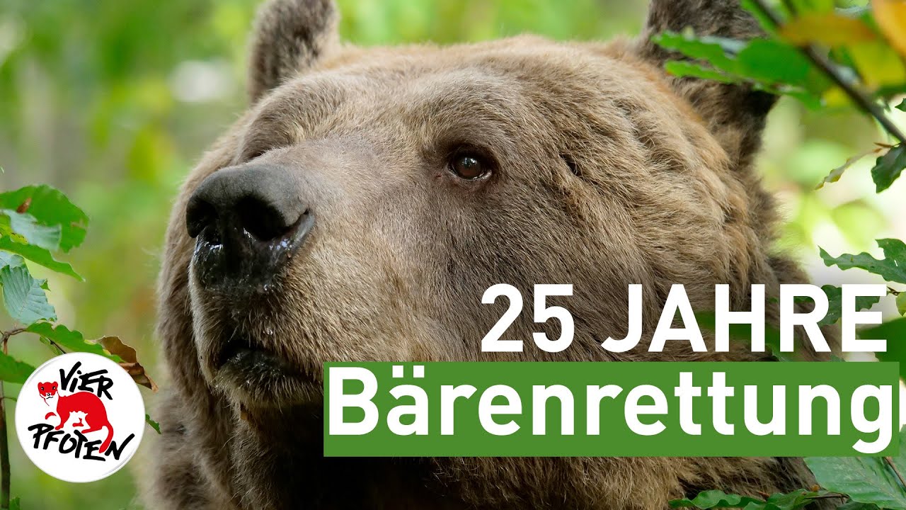 25 Jahre Bärenrettung | VIER PFOTEN