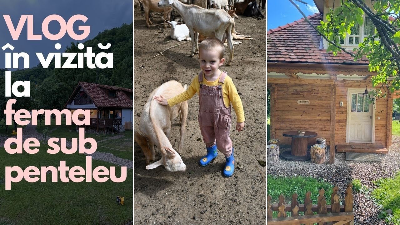Ferma de sub Penteleu - Vlog de calatorie