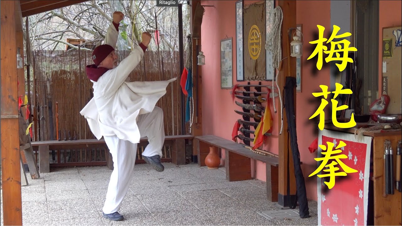The Mei Hua Quan of Master Chang