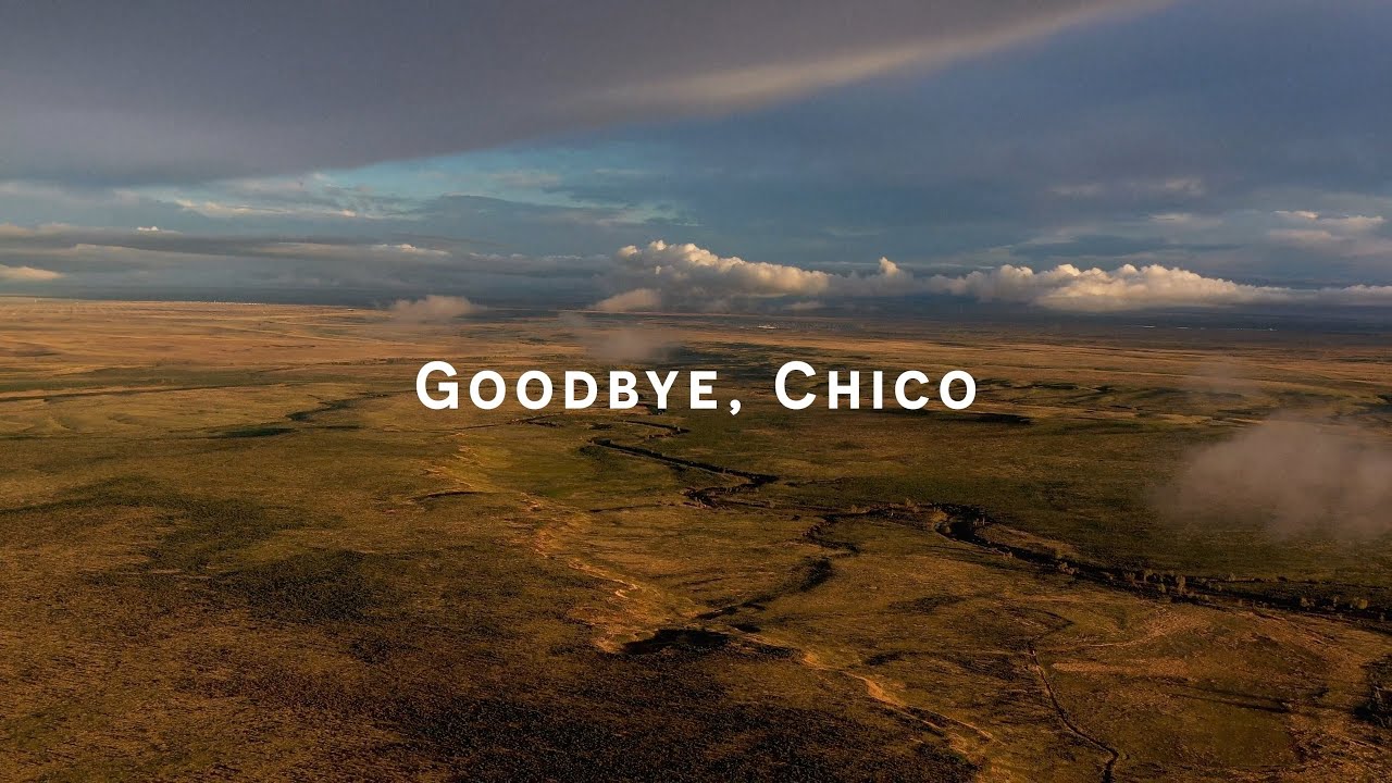 Goodbye, Chico