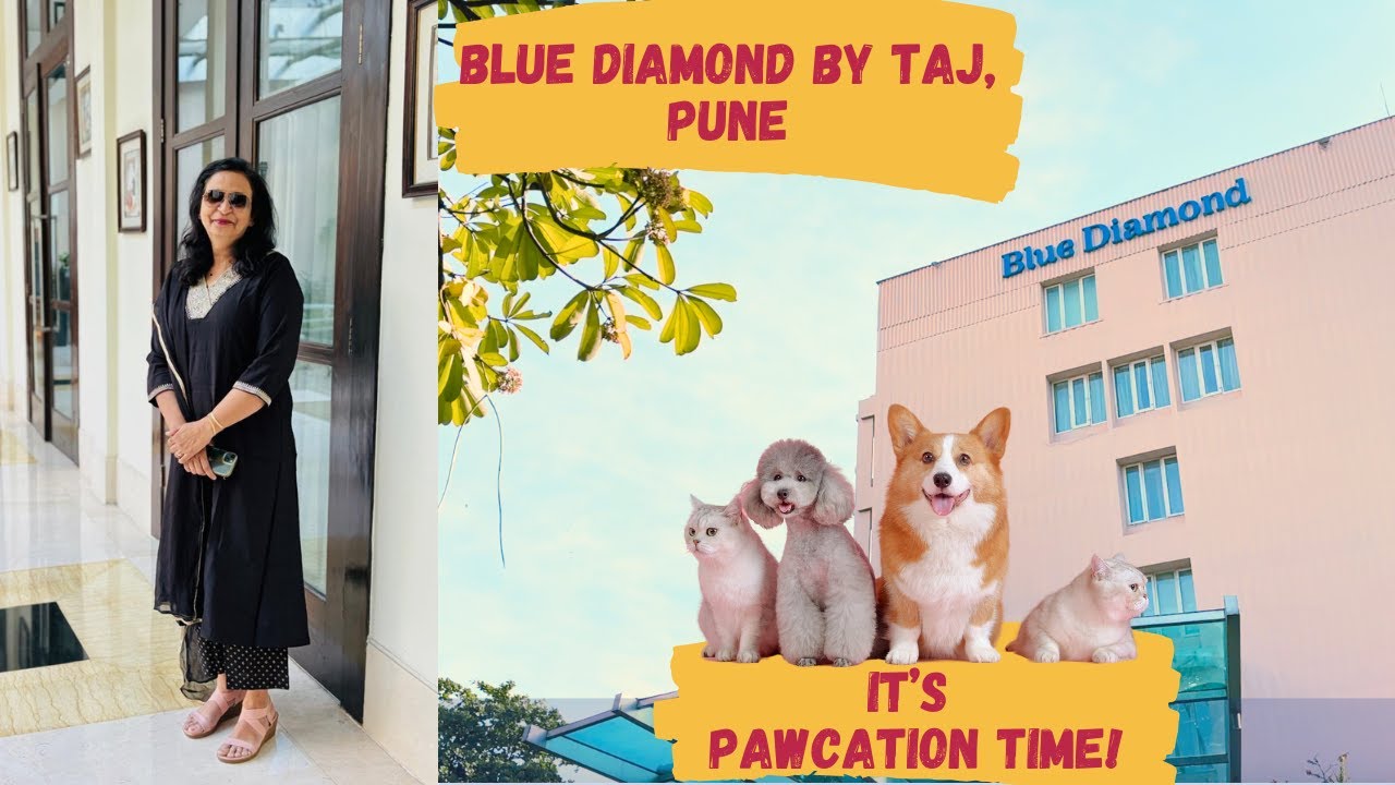 Blue Diamond by Taj, Pune
