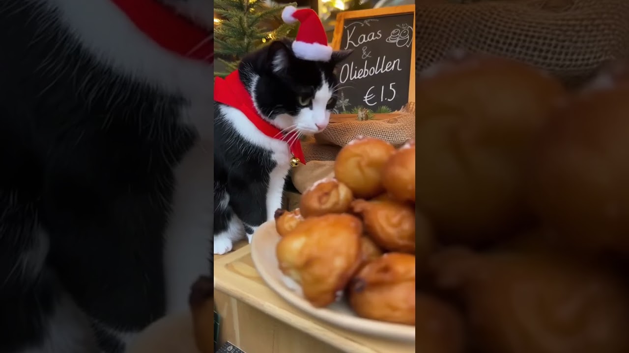 Is the Amsterdam Christmas Experience Worth It?