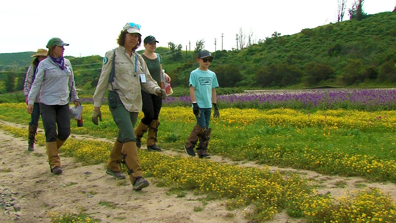 Irvine Ranch Conservancy Native Seed Farm