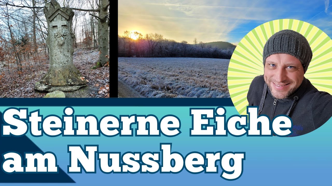 Die Steinerne Eiche am Nussberg - Wanderung in den Sieben Bergen zur mystischen Steinernen Eiche