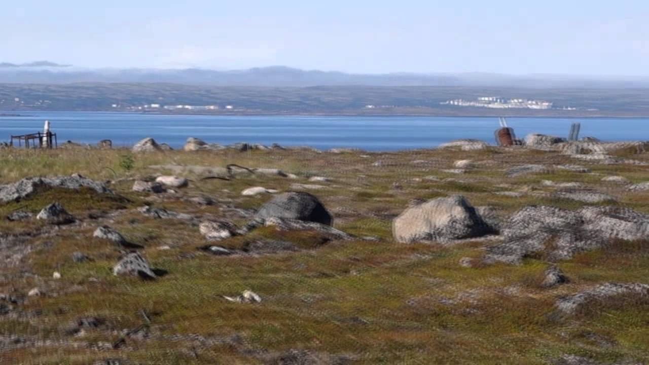 Скамейка и окрестности, август 2015