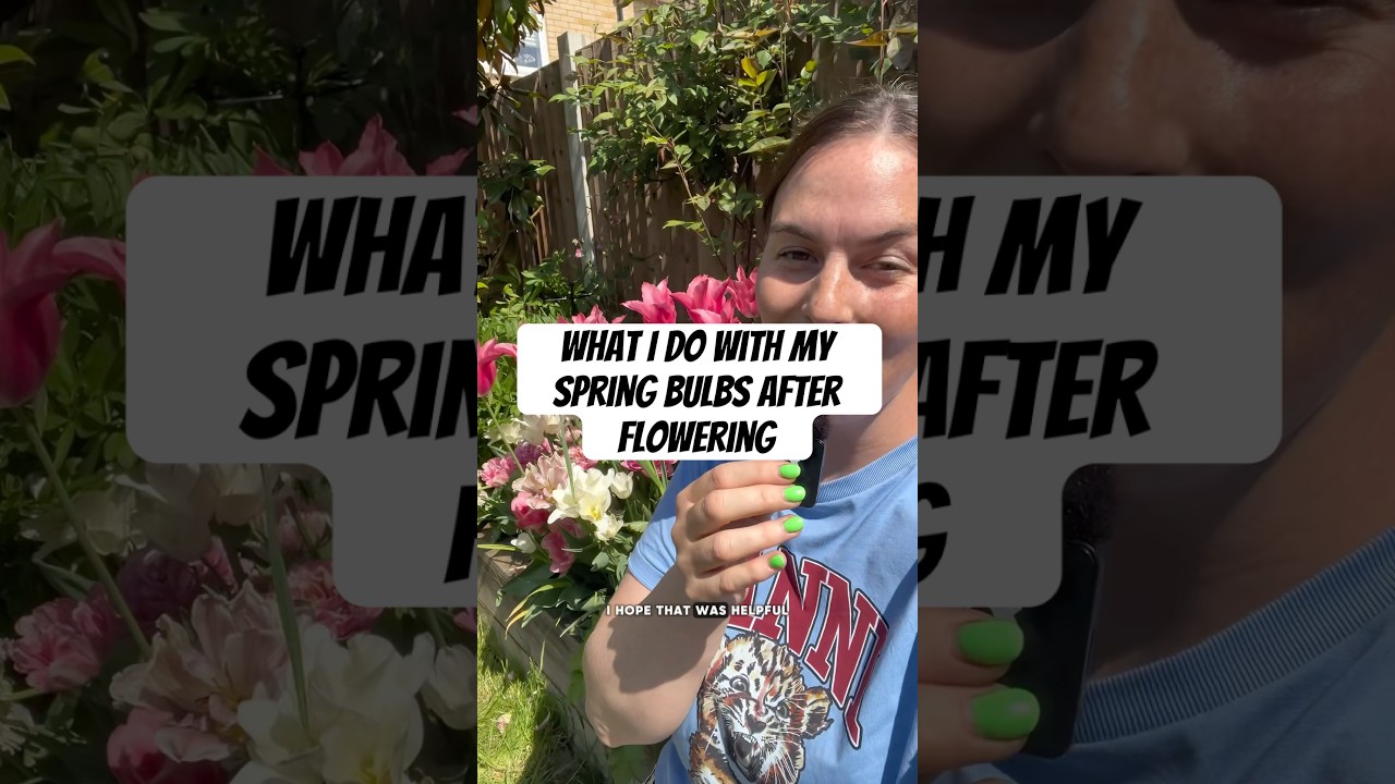 What I do with my spring bulbs after flowering #newbuildgarden #gardening #gardentips #garden