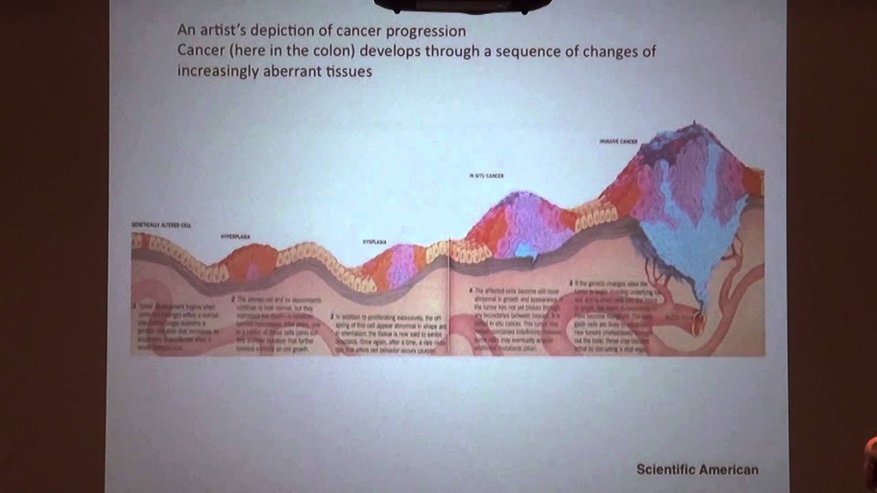 SOLUTIONS with/in/sight: Masterclass with Robert Weinberg