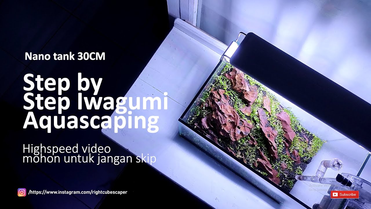 #30 STEP BY STEP IWAGUMI NANO TANK AQUASCAPING DSM- mohon untuk tidak diskip.
