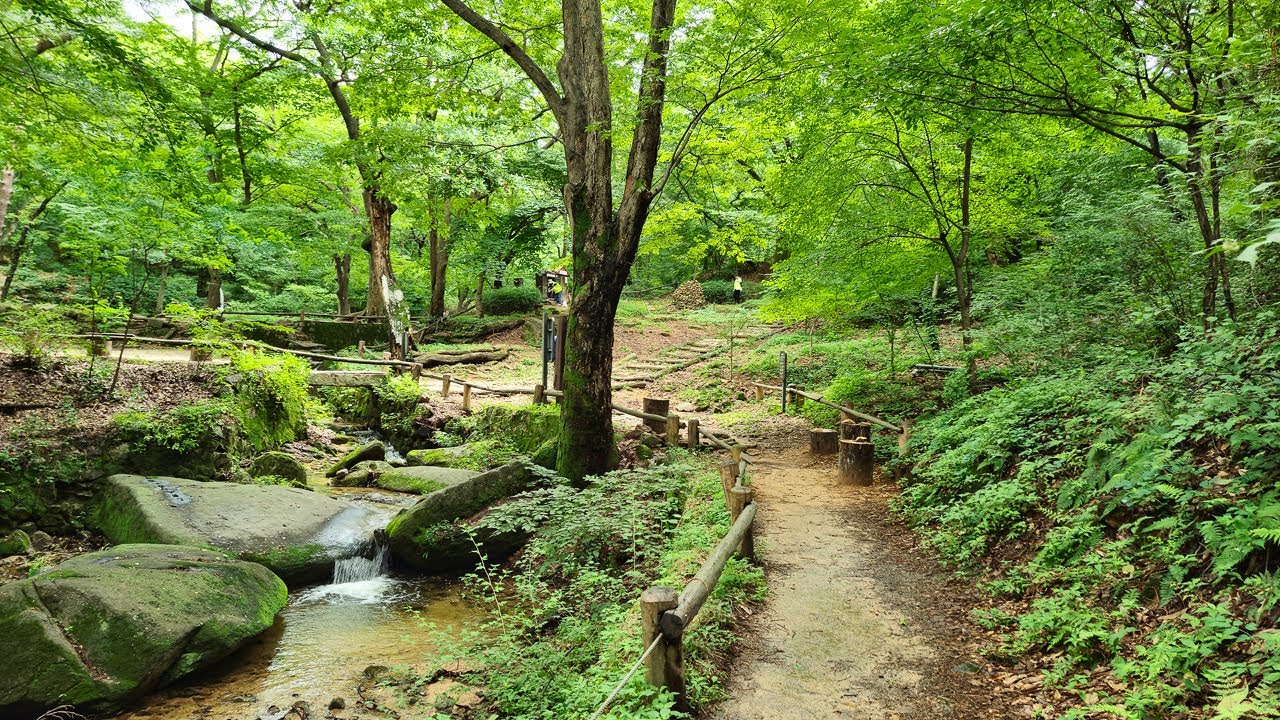 Насладитесь прогулкой на природе в Сеуле, Буамдон | 4K пешеходная экскурсия по Корее