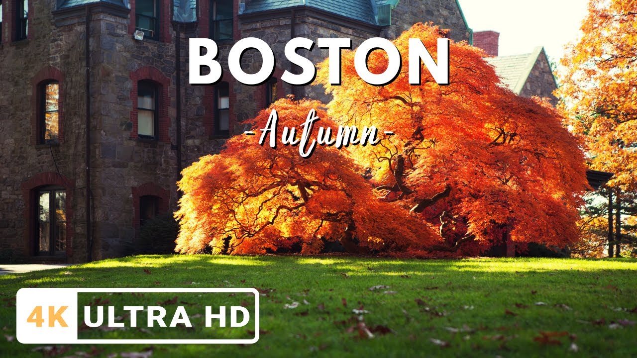 Best Places To Visit in Boston Autumn in 4K UHD | Scenery, River, Beacon Hill & Golden Parks