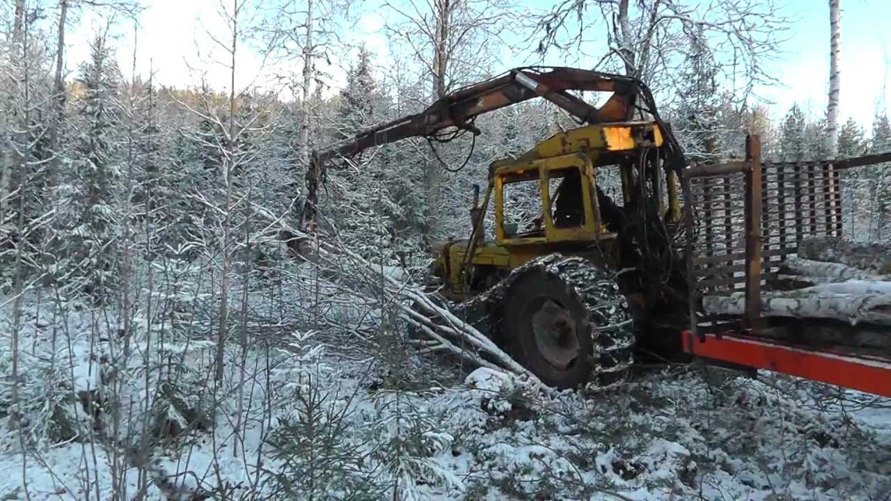 Vmv forest boxer at work  1/8