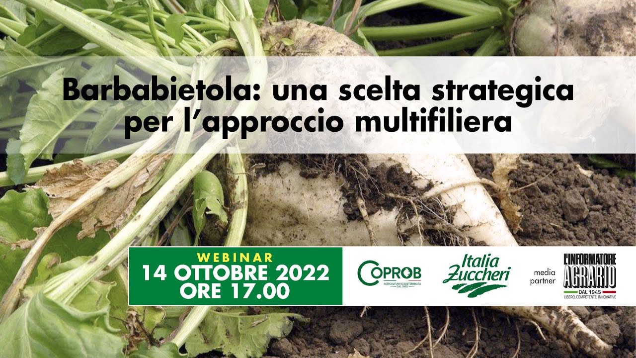 Barbabietola: una scelta strategica per l'approccio multifiliera