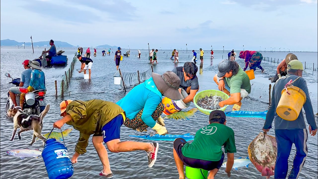 Nghề Đăng Thấp Đảo Cần Giờ Sài Gòn║Vượt Phà Bình Khánh Gửi Phần Quà Yêu Thương Từ Phương Xa