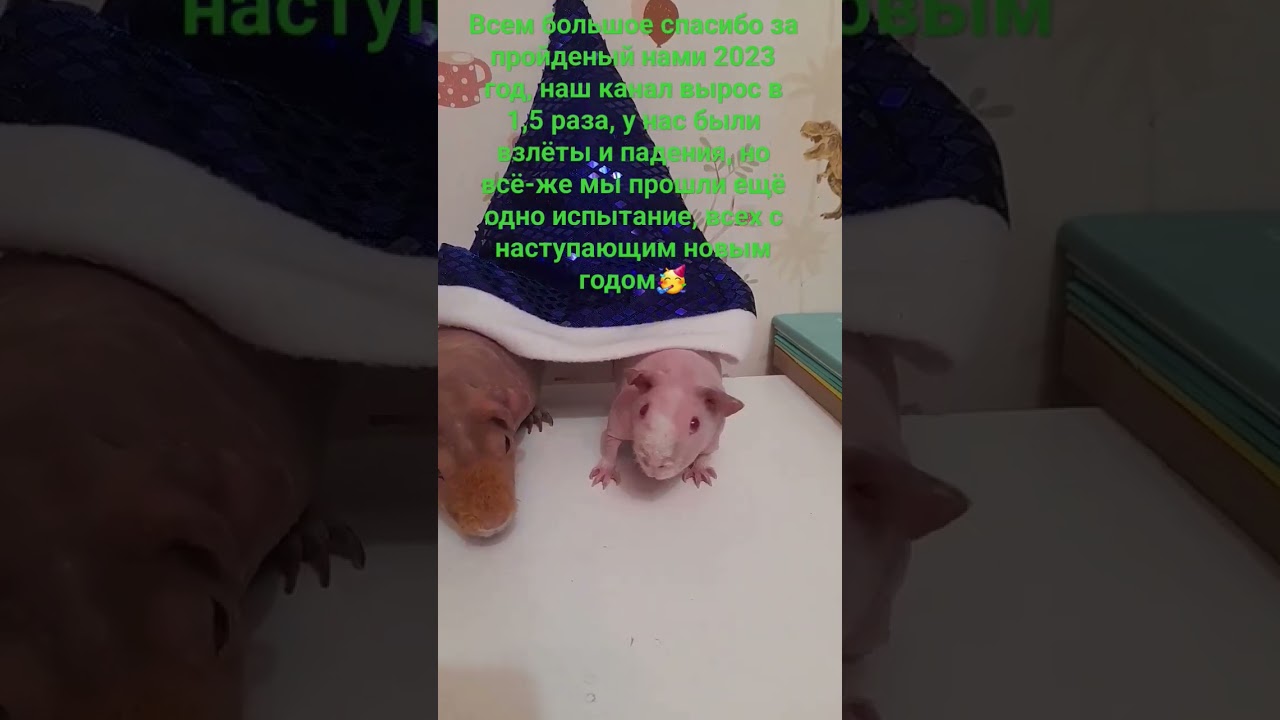 Всем спасибо за пройденый нами 2023 год, ура 🎉