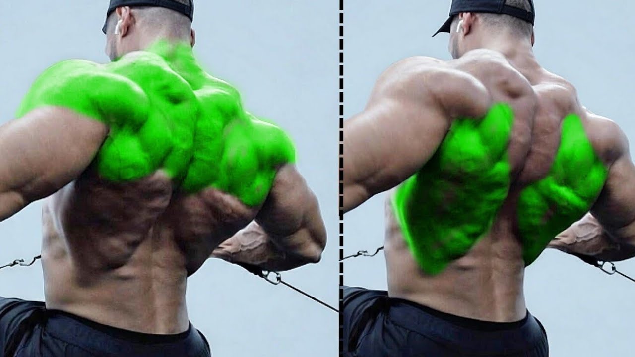 How to Build a Bigger Back: Best Exercises for Lats Upper & Middle Back 