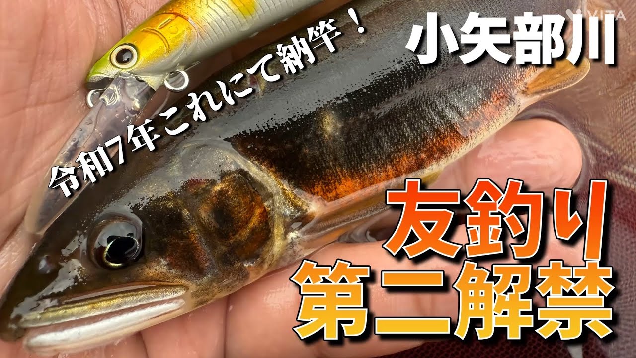 【友釣り】これにて納竿！富山河川の第二解禁で最後の大鮎チャレンジ【R7.10.13】